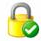 ssl icon